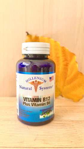 vitamina b12 y b6