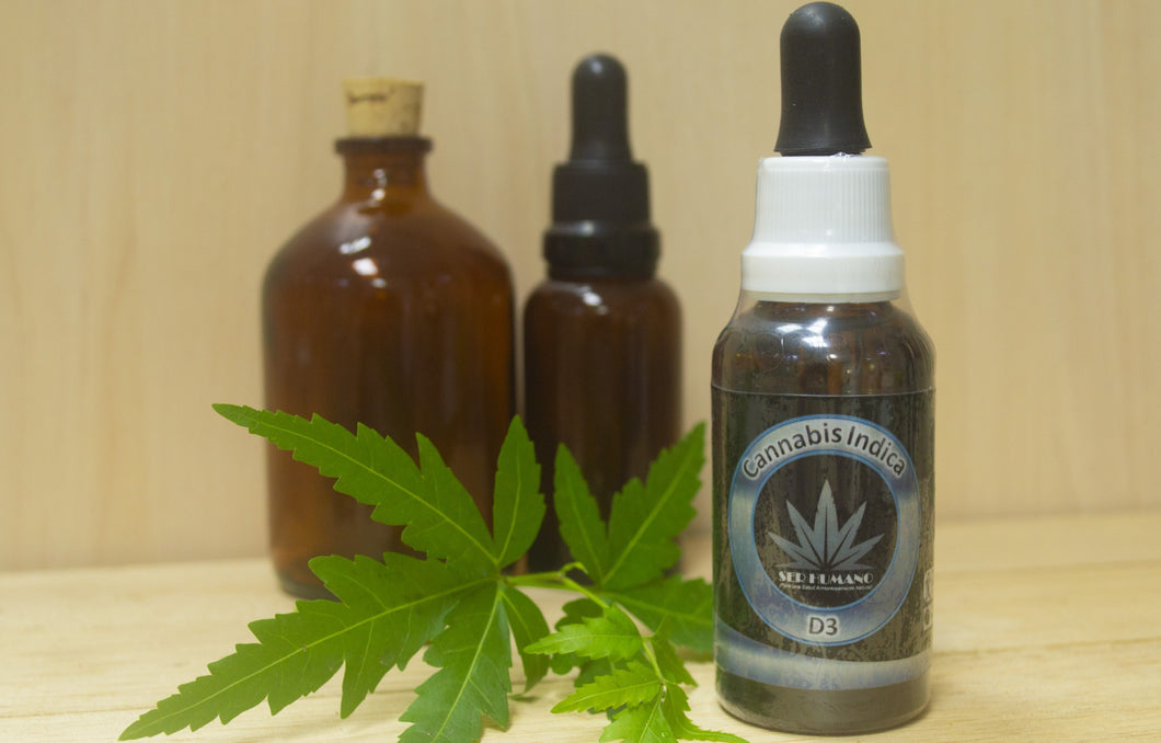 Cannabis Indica homeopática Barranquilla costa colombia 