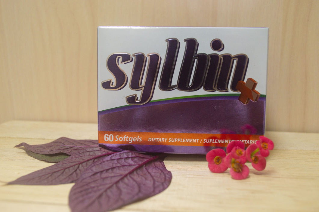 sylbin barranquilla colombia costa norte